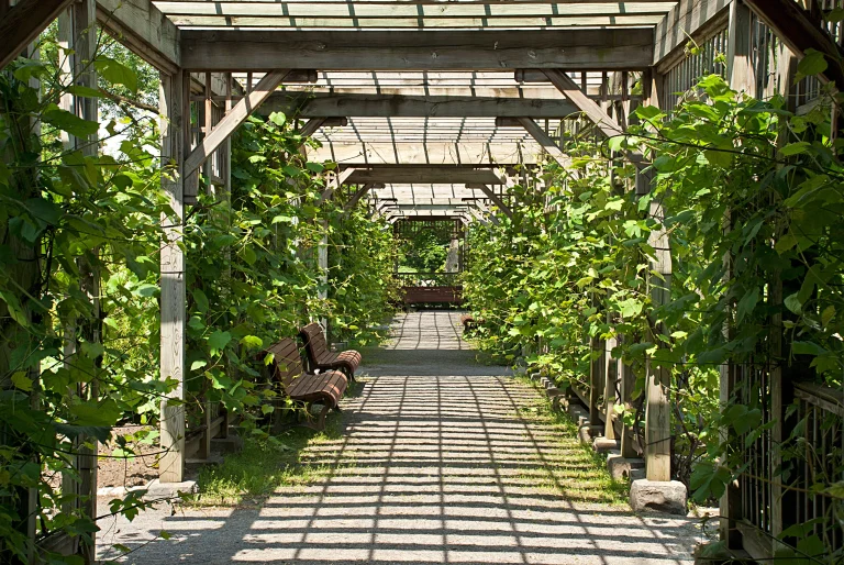 AdobeStock_33341279_wynik