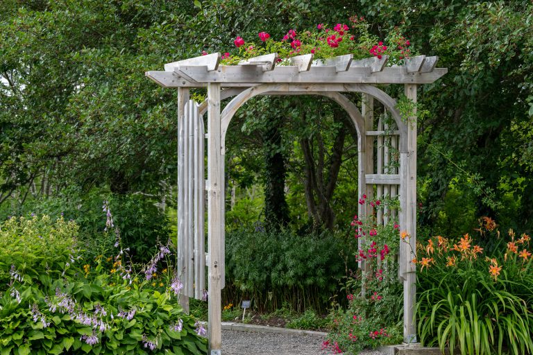 An outdoor wooden curved shaped archway or arbor surrounded by a lush green garden. The park has birch trees, climbing red roses, orange lily flowers, and vibrant green shrubs in a botanical park.